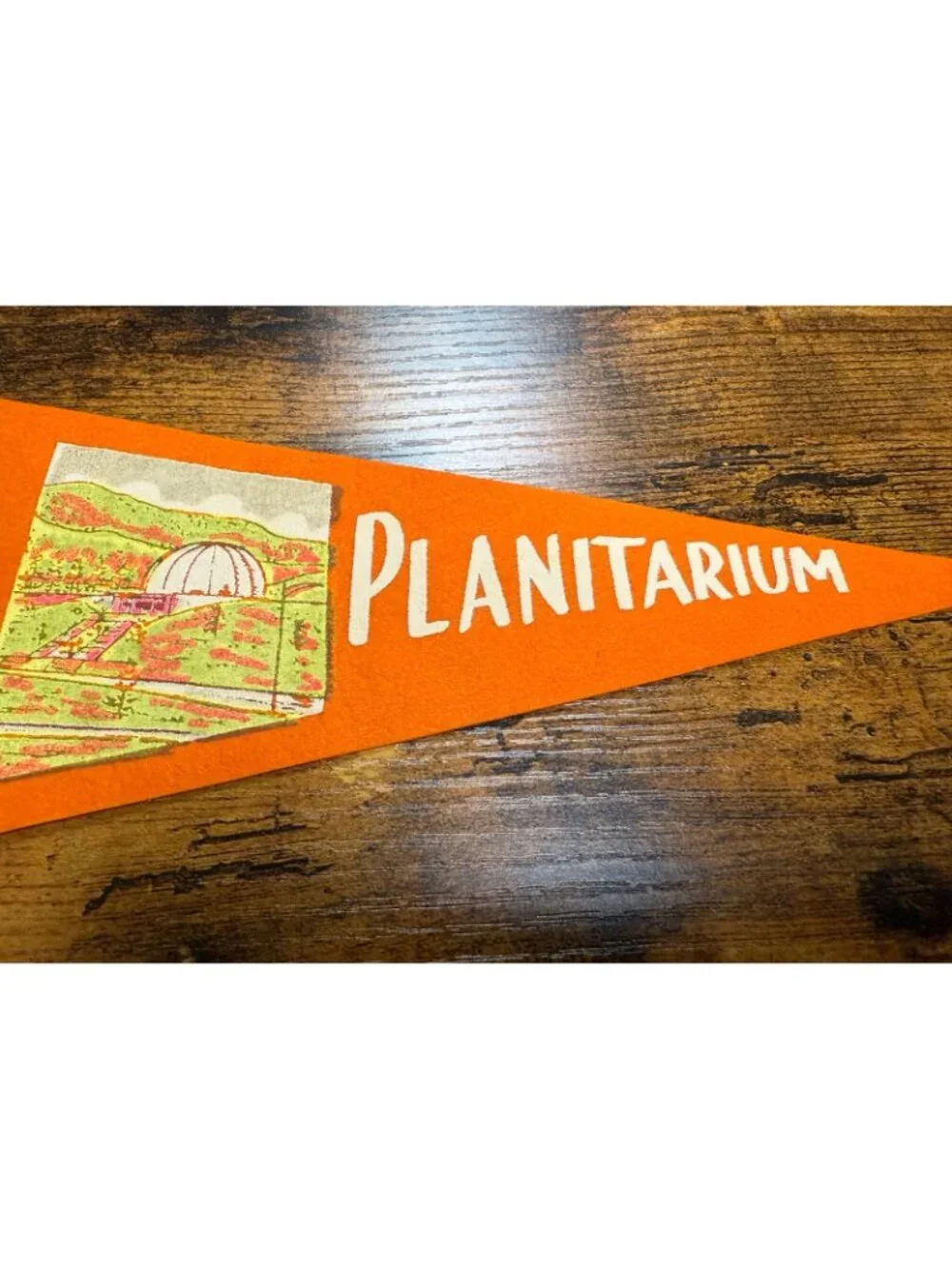 Vintage Planitarium pennant